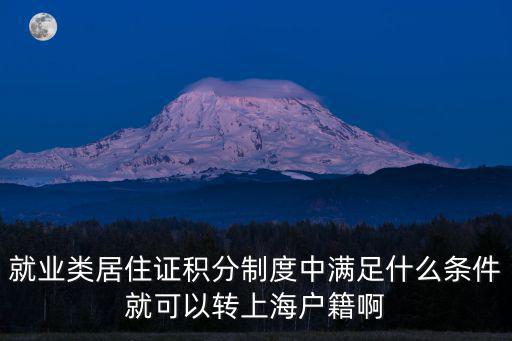 就業類居住證積分制度中滿足什么條件就可以轉上海戶籍啊