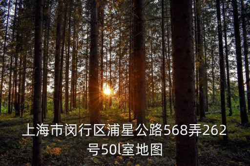 上海市閔行區浦星公路568弄262號50l室地圖