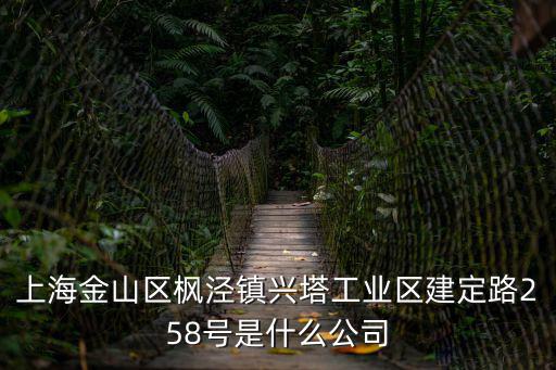 上海市金山區楓涇鎮興塔，上海金山區楓涇鎮興塔工業區建定路258號是什么公司