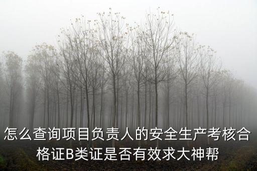 怎么查詢項目負責人的安全生產考核合格證B類證是否有效求大神幫