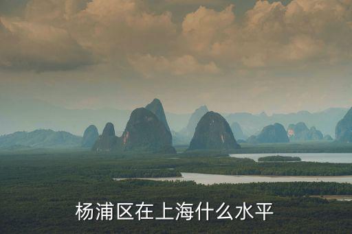 楊浦區在上海什么水平