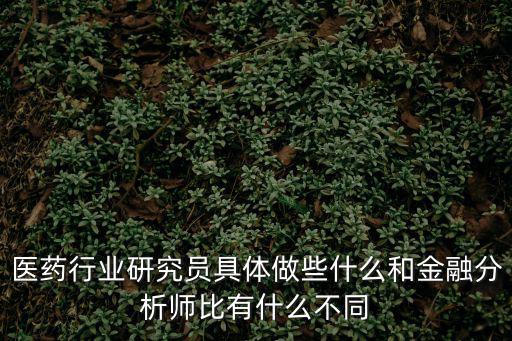 醫(yī)藥行業(yè)研究員具體做些什么和金融分析師比有什么不同