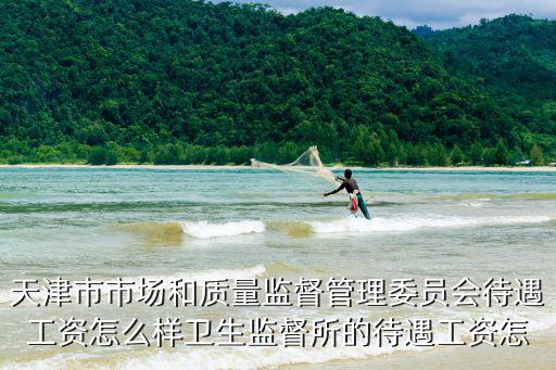 天津市市場和質(zhì)量監(jiān)督管理委員會待遇工資怎么樣衛(wèi)生監(jiān)督所的待遇工資怎