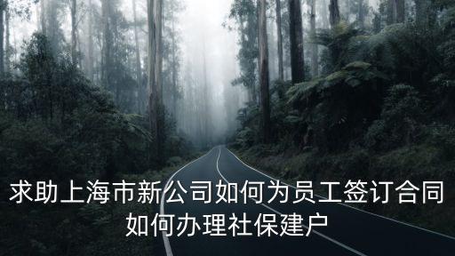 求助上海市新公司如何為員工簽訂合同如何辦理社保建戶