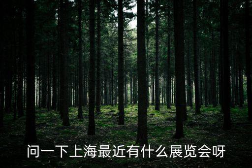 問一下上海最近有什么展覽會呀