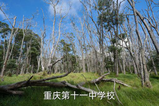 重慶第十一中學校
