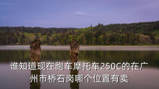 誰知道現(xiàn)在跑車摩托車250C的在廣州市橋石崗哪個(gè)位置有賣