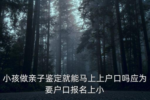 小孩做親子鑒定就能馬上上戶口嗎應為要戶口報名上小
