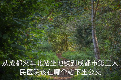 從成都火車北站坐地鐵到成都市第三人民醫院該在哪個站下坐公交
