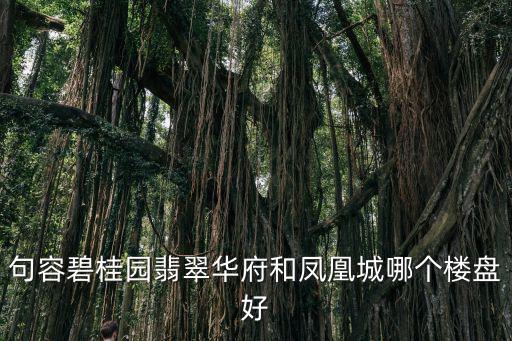 句容碧桂園翡翠華府和鳳凰城哪個樓盤好