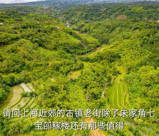 上海附近旅游景點排行召稼樓古鎮(zhèn)，請問上海近郊的古鎮(zhèn)老街除了朱家角七寶邵稼樓還有那些值得