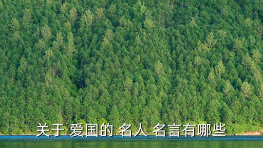 愛國名人名言,第一集:愛國社會主義是對國家最深的感情之一
