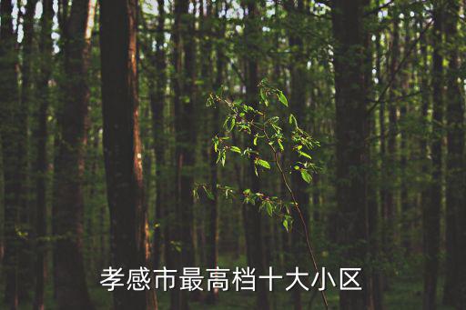 孝感現(xiàn)在哪個(gè)小區(qū)房?jī)r(jià)最低，孝感市最高檔十大小區(qū)