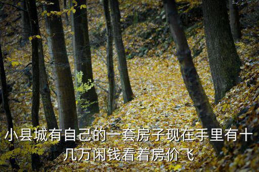 小縣城有自己的一套房子現在手里有十幾萬閑錢看著房價飛