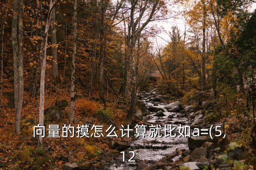 向量的模怎么算,數(shù)學(xué)名詞:向量和矩形空間