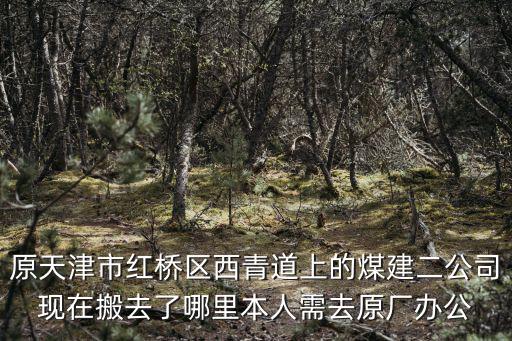 原天津市紅橋區西青道上的煤建二公司現在搬去了哪里本人需去原廠辦公