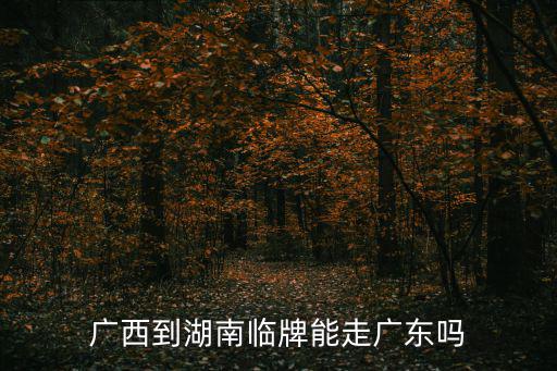 廣西臨時車牌能進入廣州行吏，廣西到湖南臨牌能走廣東嗎