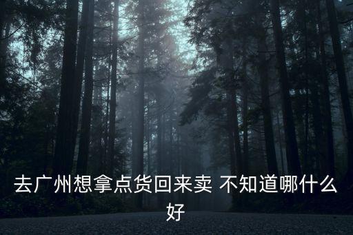 去廣州想拿點(diǎn)貨回來(lái)賣 不知道哪什么好