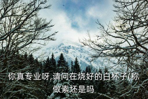 你真專業(yè)呀,請問在燒好的白杯子(稱做素坯是嗎