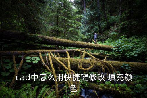  cad中怎么用快捷鍵修改 填充顏色