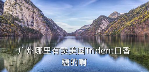 廣州哪里有賣美國Trident口香糖的啊