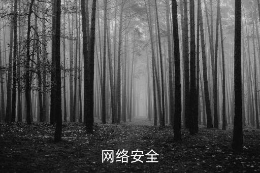網絡安全