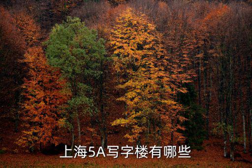 上海市乙級寫字樓，上海5A寫字樓有哪些