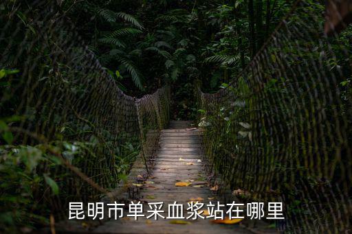 昆明市單采血漿站在哪里