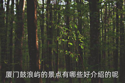 廈門鼓浪嶼的景點有哪些好介紹的呢
