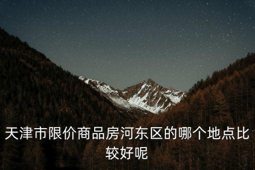 天津市限價商品房河東區的哪個地點比較好呢