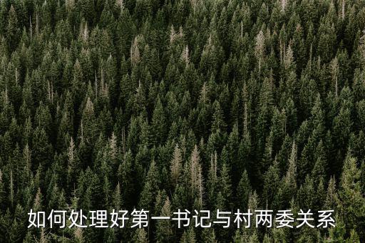 第一書記和書記的關系，如何處理好第一書記與村兩委關系