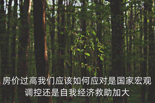 房價過高我們應該如何應對是國家宏觀調控還是自我經濟救助加大