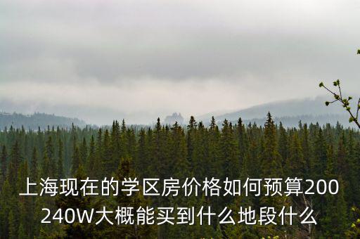 上海現(xiàn)在的學(xué)區(qū)房?jī)r(jià)格如何預(yù)算200240W大概能買到什么地段什么