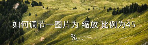如何調節一圖片為 縮放 比例為45%