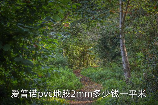 天津市tarkett地膠價格，便宜的地膠 大約多少錢一平方