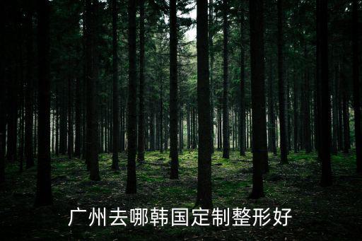 廣州去哪韓國定制整形好