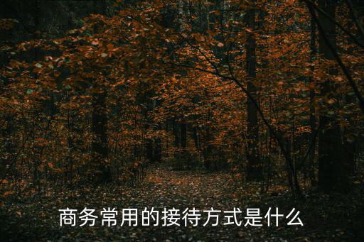 商務常用的接待方式是什么