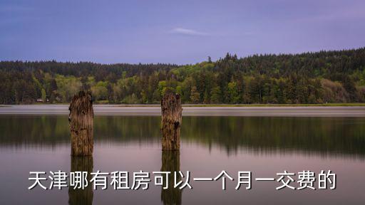 天津哪有租房可以一個(gè)月一交費(fèi)的