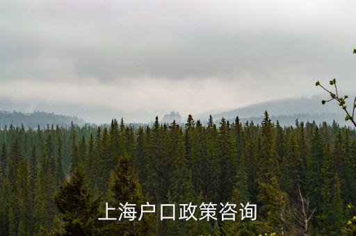 上海戶口政策咨詢