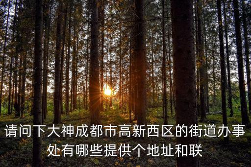 請問下大神成都市高新西區的街道辦事處有哪些提供個地址和聯