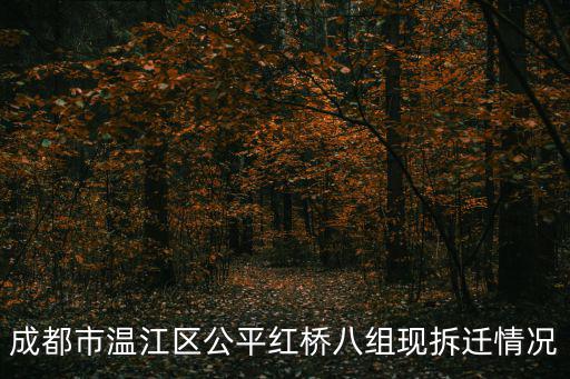 成都市溫江區(qū)公平紅橋八組現(xiàn)拆遷情況