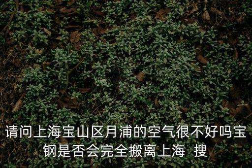 請(qǐng)問上海寶山區(qū)月浦的空氣很不好嗎寶鋼是否會(huì)完全搬離上海  搜