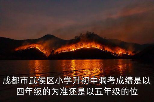 成都市武侯區(qū)小學(xué)升初中調(diào)考成績(jī)是以四年級(jí)的為準(zhǔn)還是以五年級(jí)的位