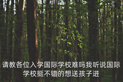 林國榮國際高中入學(xué)難嗎，請教各位入學(xué)國際學(xué)校難嗎我聽說國際學(xué)校挺不錯的想送孩子進