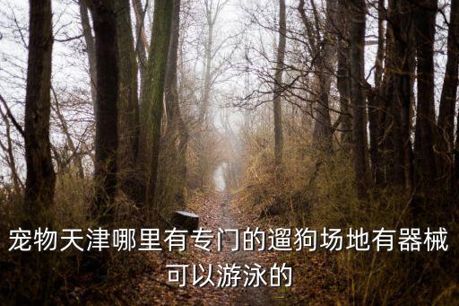 寵物天津哪里有專門的遛狗場地有器械可以游泳的