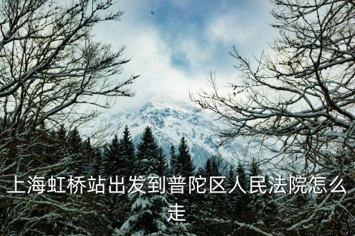 上海虹橋站出發到普陀區人民法院怎么走