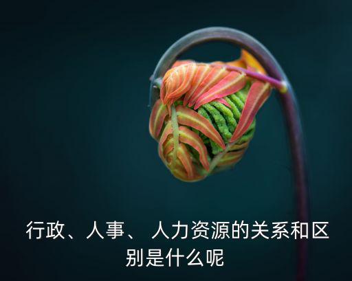人力行政,人力資源說明: