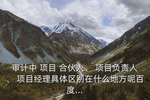 審計(jì)中 項(xiàng)目 合伙人、 項(xiàng)目負(fù)責(zé)人、 項(xiàng)目經(jīng)理具體區(qū)別在什么地方呢百度...
