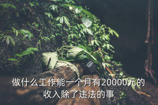 做什么工作能一個(gè)月有20000元的收入除了違法的事