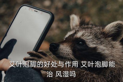 艾葉治風(fēng)濕的方法,艾葉治療關(guān)節(jié)疼痛可煎服外洗